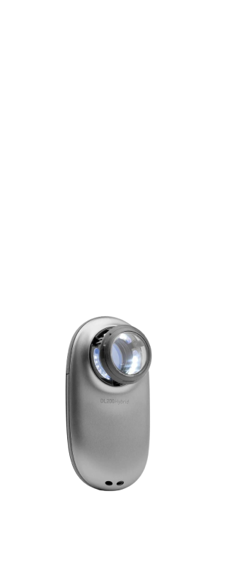 DL200  title=